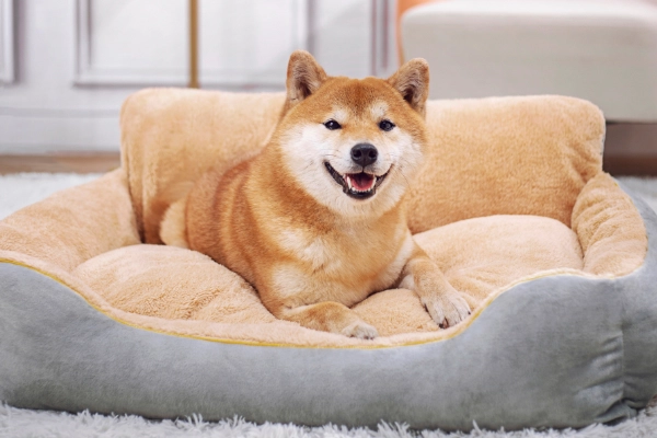 Inu In Pet Bed 600X400